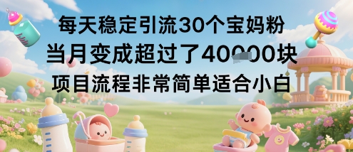 每天稳定引流30个宝妈粉当月变成超过了1W+项目流程非常简单适合小白-hl998