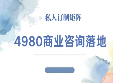 4980商业咨询师落地课程-ip运营高客单教程-hl998