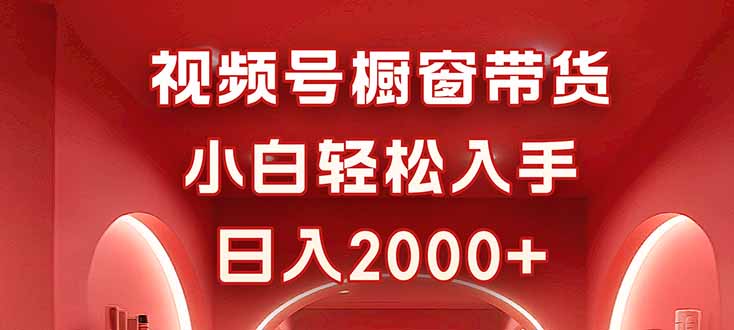 视频号橱窗带货，小白轻松入手，日入2000+-hl998