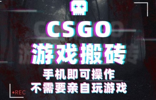 CSGO游戏挂G捡漏，单日扫货5张+，年底小高峰上车可吃肉，手机即可操作，兼职副业创业网创【揭秘】-hl998