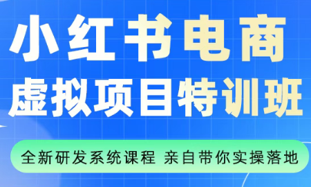 陆明明·小红书虚拟项目特训班(更新9月)-hl998