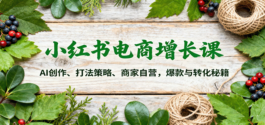 小红书电商增长课：AI创作、打法策略、商家自营，爆款与转化秘籍-hl998
