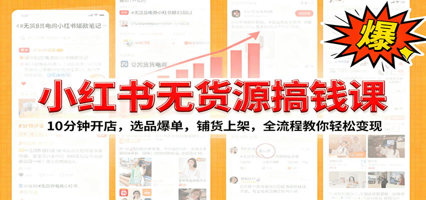 小红书无货源爆单课：10分钟开店，选品爆单，铺货上架，全流程教你轻松变现-hl998