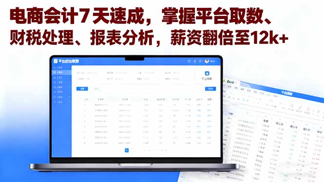 电商会计7天速成，掌握平台取数、财税处理、报表分析，薪资翻倍至12k+-hl998