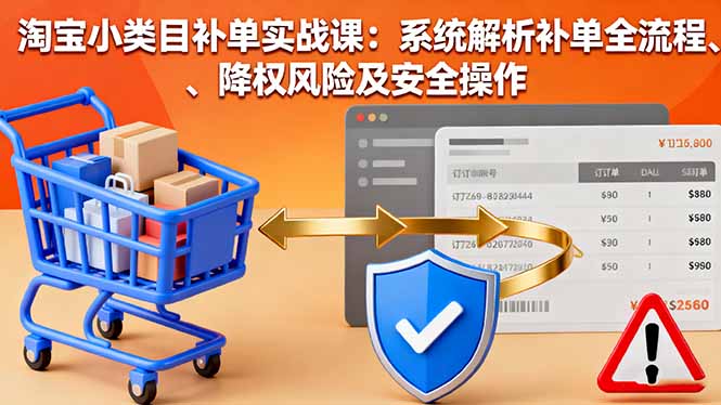 淘宝小类目补单实战课：系统解析补单全流程、降权风险及安全操作-hl998