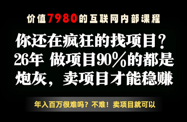 26年请不要疯狂的找项目了，卖项目远比你想象的暴利，你也可以月入10W+【揭秘】-hl998