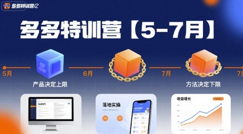 多多特训营，产品决定上限，方法决定下限，各种玩法技巧落地实操(更新)-hl998