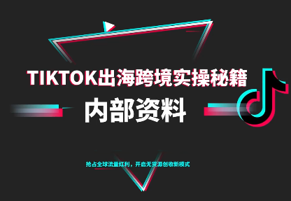 TikTok跨境电商0-1搭建运营(更新10月)-hl998