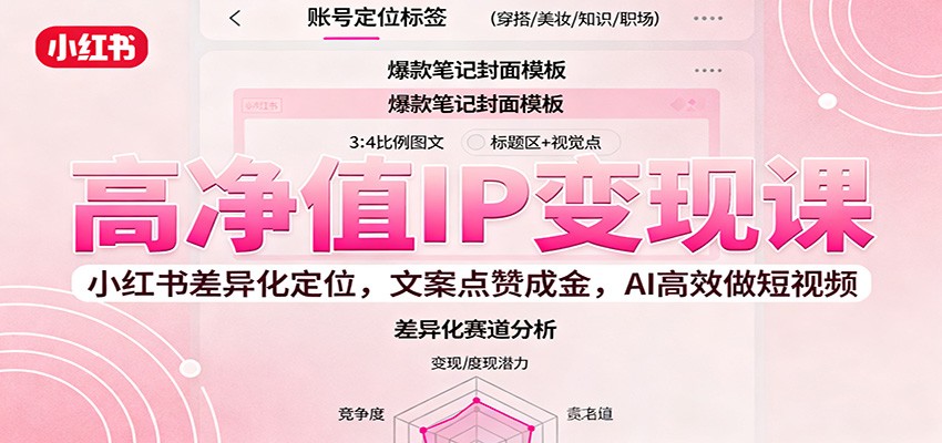 高净值IP变现课：小红书差异化定位，文案点赞成金， AI高效做短视频-hl998