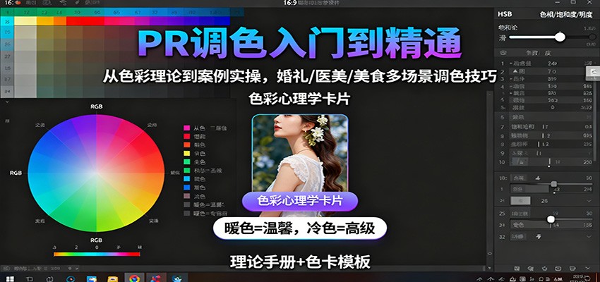 PR调色入门到精通：从色彩理论到案例实操，婚礼/医美/美食多场景调色技巧-hl998