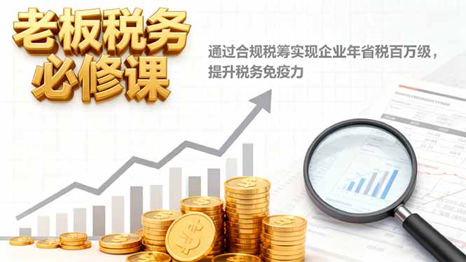 老板税务必修课，通过合规税筹实现企业年省税百万级，提升税务免疫力-hl998