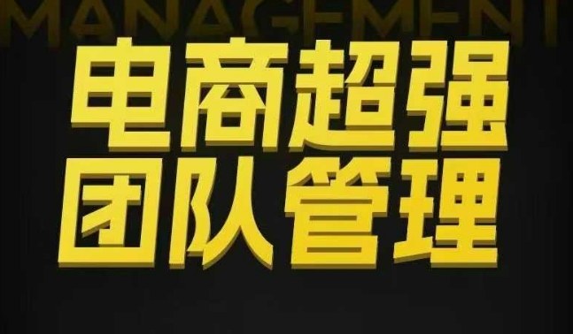 电商超强团队管理，组织绩效，到用人执行，分权合伙-hl998