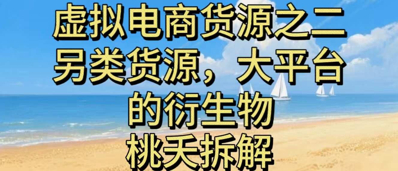 虚拟电商之二—另类的货源，大平台的衍生物-hl998