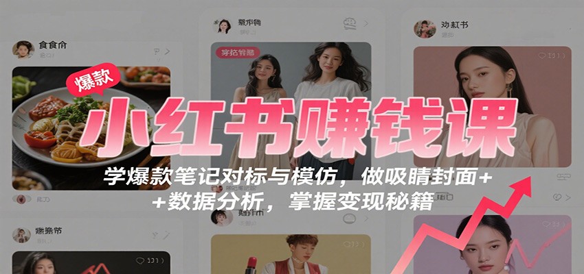 小红书赚钱课：学爆款笔记对标与模仿，做吸睛封面 + 数据分析，掌握变现秘籍-hl998