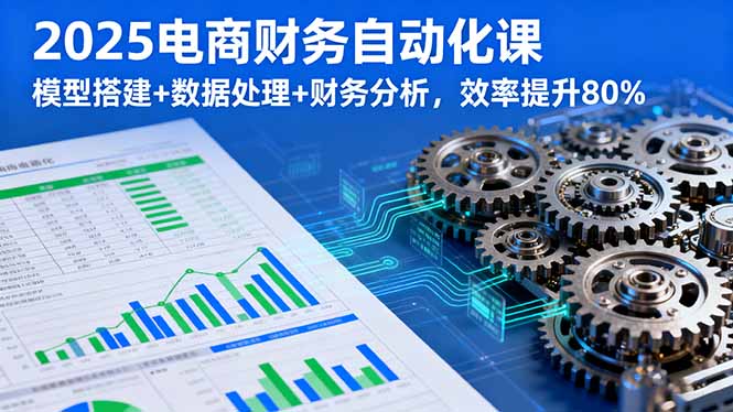 2025电商财务自动化课，模型搭建+数据处理+财务分析，效率提升80%-hl998