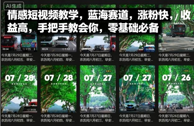 情感短视频教学，蓝海赛道，涨粉快，收益高，手把手教会你，零基础必备-hl998