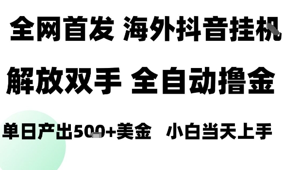 海外抖音无人直播，单日产出1.5k+，长期稳定，新手可玩，无脑操作【揭秘】-hl998