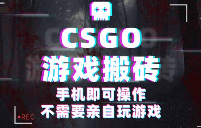 CSGO游戏挂机捡漏，单日扫货500+，年底小高峰上车可吃肉，手机即可操作...-hl998