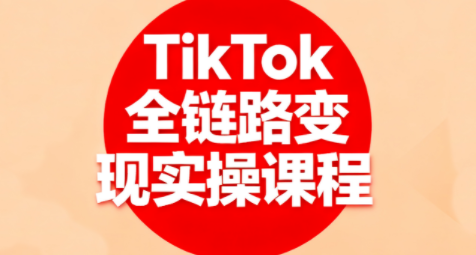 小杨老师·TikTok全链路变现实操课程-hl998