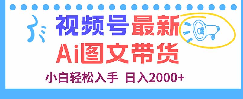 视频号最新AI图文带货，每天几分钟，小白轻松入手，日入2000+-hl998