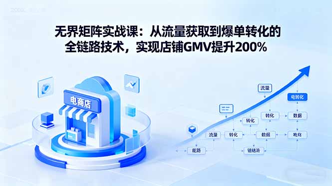 无界矩阵实战课：从流量获取到爆单转化的全链路技术，实现店铺GMV提升200%-hl998