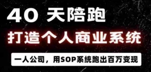 40天陪跑打造个人商业系统，一人公司，用SOP系统跑出百W变现-hl998