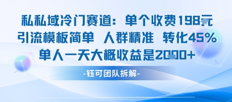私域冷门赛道单个收费198米引流模板简单人群精准 45%的转化率单人一天大概收益多张-hl998
