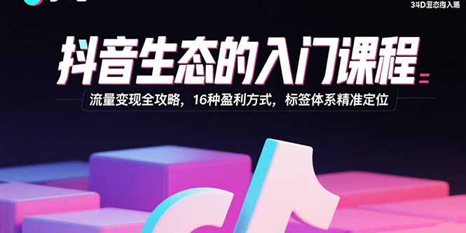 抖音生态的入门课程：流量变现全攻略，16种盈利方式，标签体系精准定位-hl998