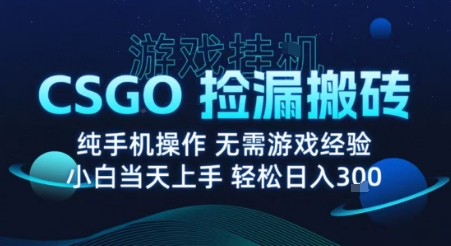 8月最新游戏搬砖，CSGO纯挂G，不需要玩游戏，实现真挂G，月入1W+【揭秘】-hl998