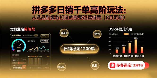 拼多多日销千单高阶玩法：从选品到爆款打造的完整运营链路(8月更新-hl998