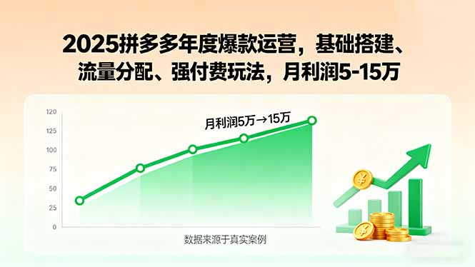 2025拼多多年度爆款运营，基础搭建、流量分配、强付费玩法，月利润5-15万-hl998