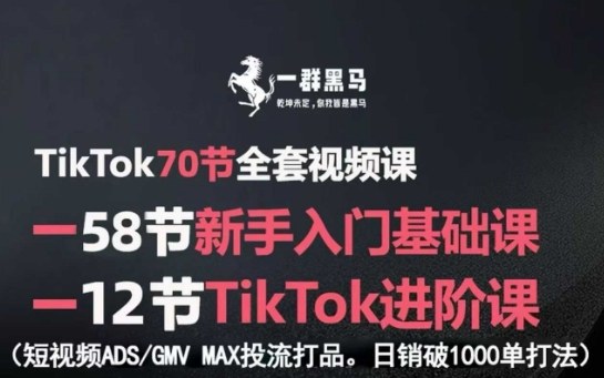 TikTok全套视频课，新手入门+进阶课，短视频ADS-GMV MAX投流打品，日销破1000单打法-hl998