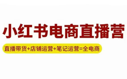 申铭老师·小红书电商直播营(更新)-hl998