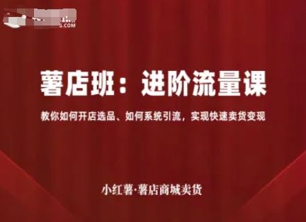 小红薯薯店商城卖货，进阶流量课，教你如何开店选品、如何系统引流，实现快速卖货变现-hl998