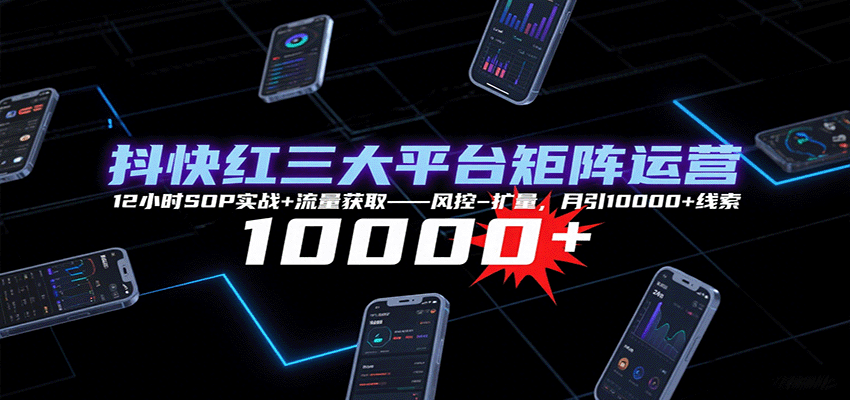 抖快红三大平台矩阵运营，12小时SOP实战+流量获取-风控-扩量，月引10000+线索-hl998