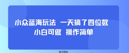小众蓝海玩法 一天搞了四位数 小白可做 操作简单-hl998