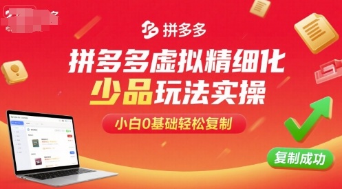 拼多多虚拟精细化少品玩法实操，小白0基础轻松复制-hl998