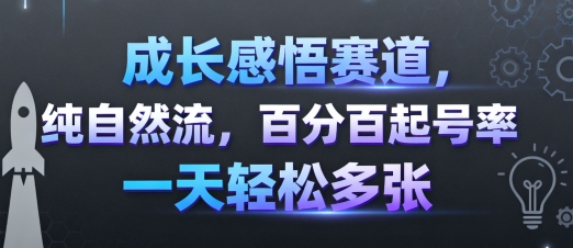 成长感悟赛道，纯自然流，百分百起号率 一天轻松多张-hl998