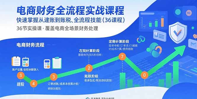 电商财务全流程实战课程：快速掌握从建账到报税的全流程技能(36节课-hl998
