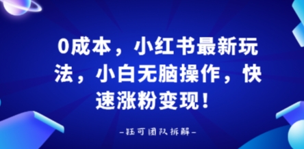 0成本，小红书最新玩法，小白无脑操作，快速涨粉变现-hl998