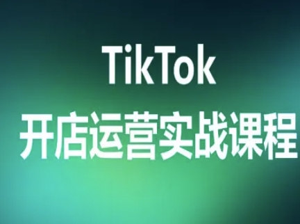 TikTok开店运营实战课程，TK跨境电商实操全流程-hl998