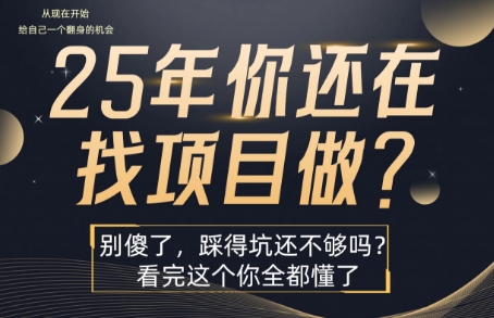 25年，你还在疯狂的找项目吗？别傻了，看完这个你都懂了【揭秘】-hl998