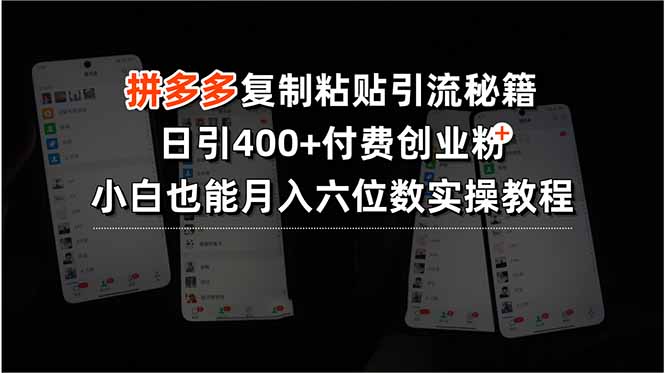 拼多多复制粘贴引流秘籍，日引400+付费创业粉，小白也能月入六位数实操...-hl998