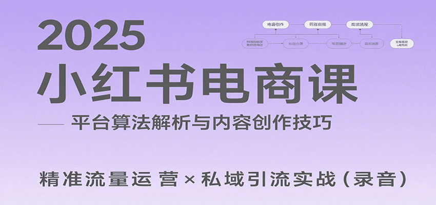 2025小红书电商课：解析算法，创作高转化内容，助力卖家获取流量实现变现(录音)-hl998