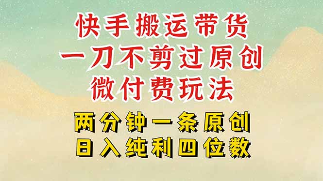 快手黑科技搬运带货，一刀不剪过原创，微付费投流玩法，轻松日入四位数...-hl998