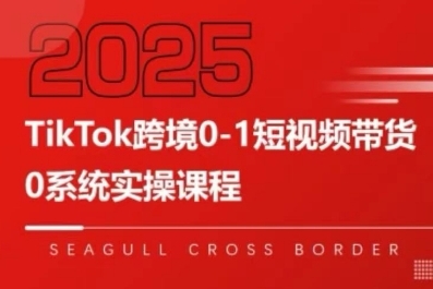 TikTok跨境0-1短视频带货，系统拆解TikTok跨境带货全链路，实现跨境可持续盈利-hl998