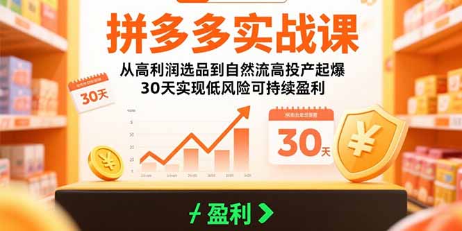 拼多多实战课：从高利润选品到自然流高投产起爆 30天实现低风险可持续盈利-hl998