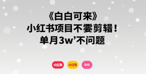 小白可来 小红书项目不需要剪辑 单月3w不是问题-hl998