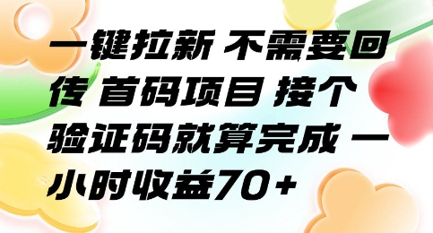 一键拉新 不需要回传 首码项目 接个验证码就算完成 一小时收益70+【揭秘】-hl998