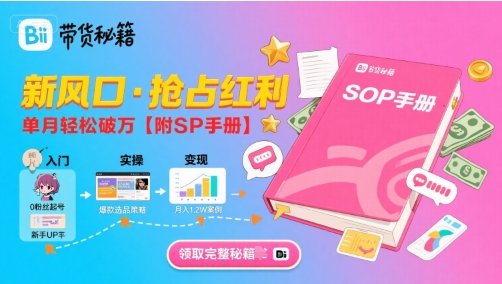 B站哔哩哔哩带货秘籍，新风口，抢占红利，单月轻松破万【附SOP手册】-hl998